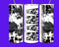 Black and white cowhide tumbler with cow-print design on stainless steel insulated cup