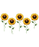 🌻 Sunshine, Faith, Believe, Hope & Love Sunflower Shirt 🌻